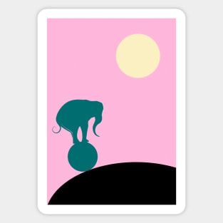 Elephant balancing on a ball by night Sticker